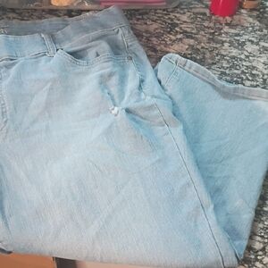 Terra & Sky Light Blue Ankle & Cropped Jeans